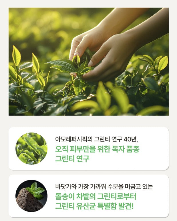 Innisfree Green Tea Seed Hyaluronic Cream 80ml