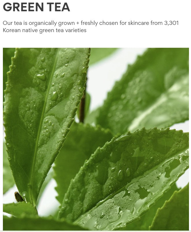 Innisfree Green Tea Seed Hyaluronic Cream 100ml
