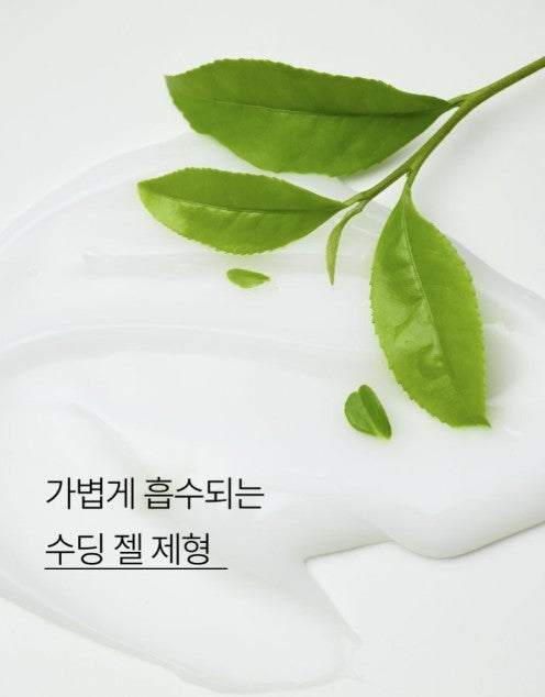 Innisfree Isle Number Body Lotion 300ml #Green Tea Essence