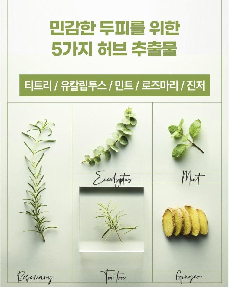 Ryo Root:Gen For Men Hair Loss Care Shampoo 515ml