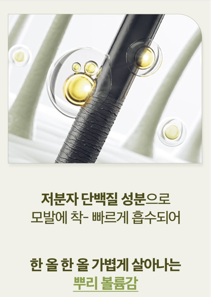 Ryo Root:Gen For Women Hair Loss Care Treatment 515ml