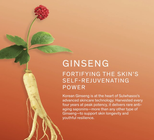 Sulwhasoo Concentrated Ginseng Rejuvenating Ampoule 20g